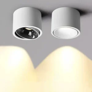 Ceiling mounted down light