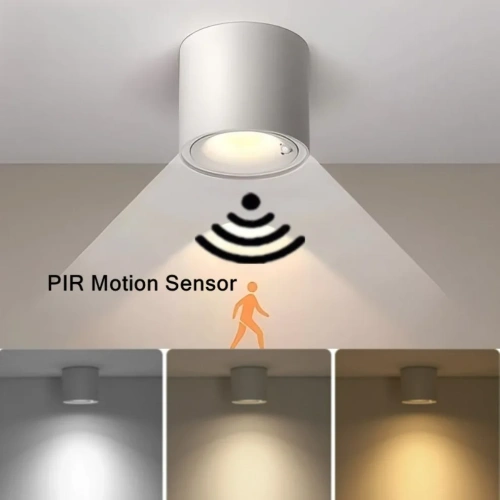 PIR Motion Sensor LED Ceiling Downlight Surface Mounted Anti-Glare Smart Stair Bedroom Home Spot Lighting Fixture Full spectrum
